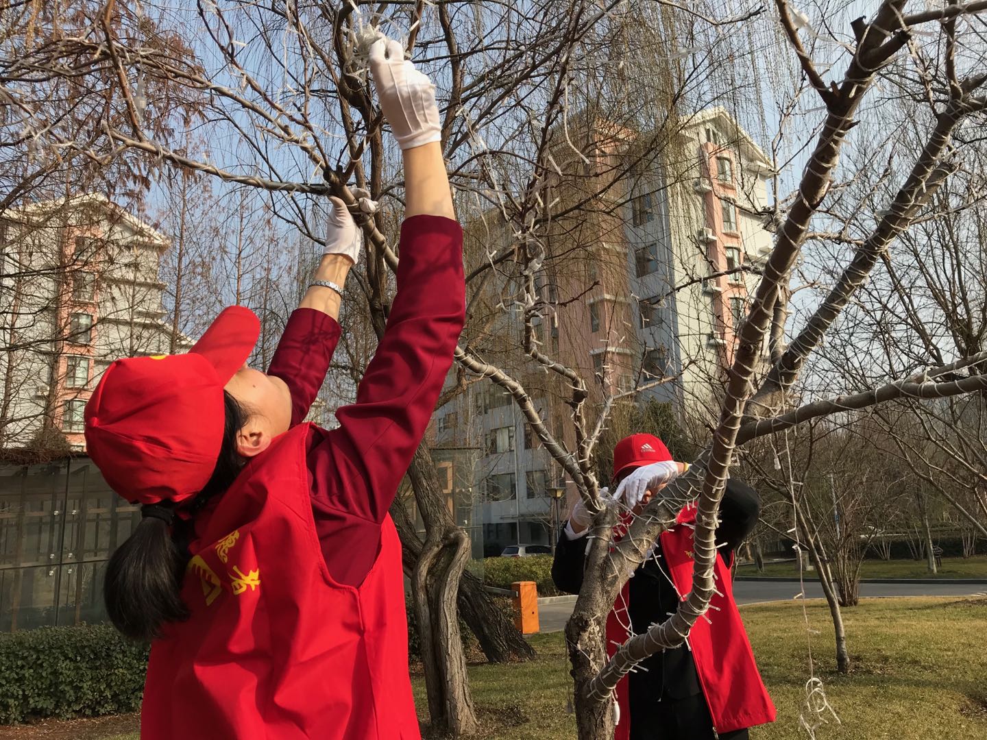 三和實(shí)業(yè)黨支部開展“學(xué)雷鋒 講奉獻(xiàn)”志愿服務(wù)活動(dòng)